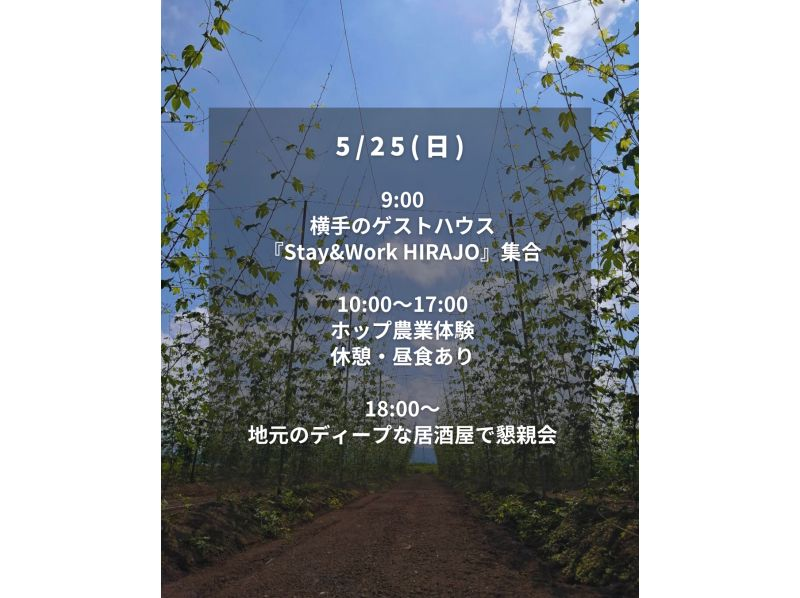 [Akita, Yokote] [May] <Craft beer making experience> Experience hop making to brewing in 2 days! Drinking beer after farm work while looking at the brewing barrels is the best!の紹介画像