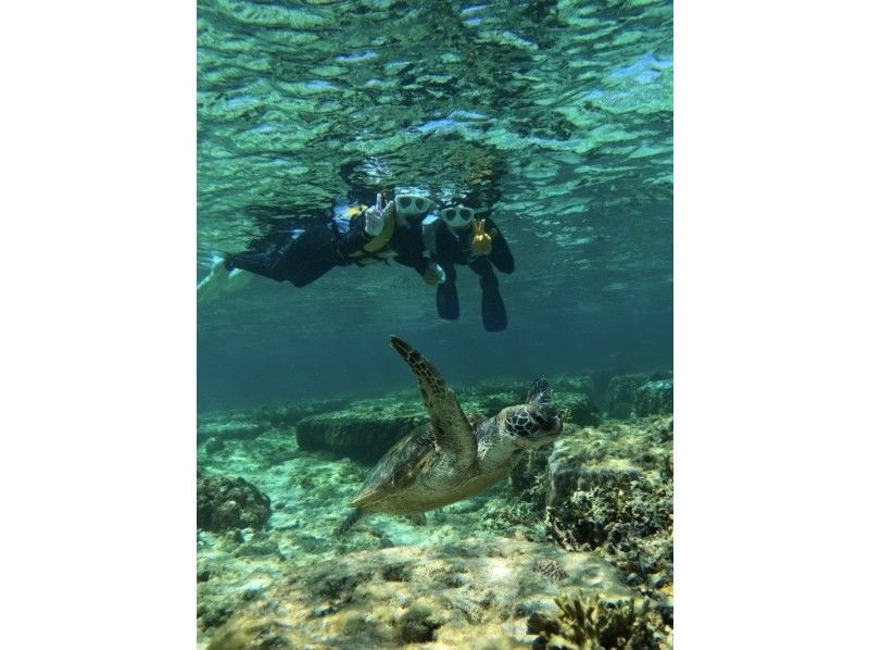 【沖縄・糸満・豊見城】専属ガイド1組貸切で安心ウミガメやカラフル熱帯魚が楽しめるジョン万ビーチでのシュノーケリング!写真データ＆餌やり無料の紹介画像