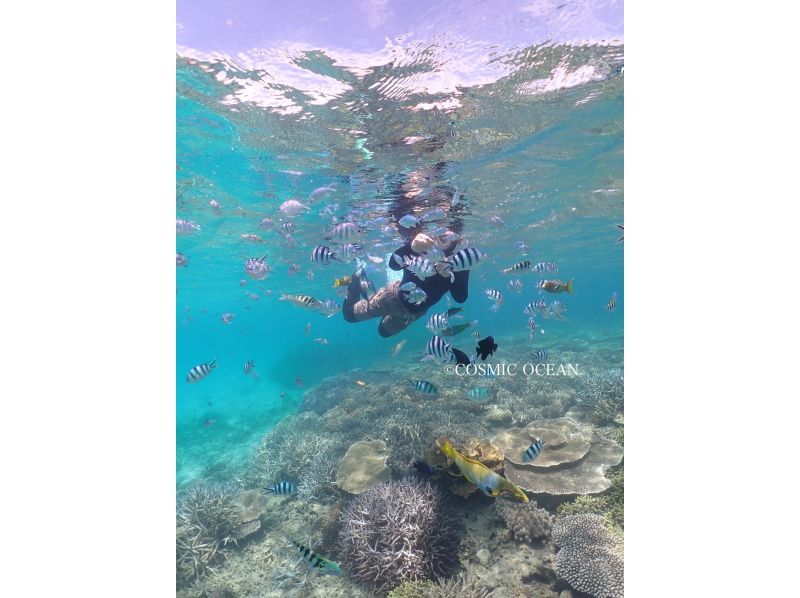 【沖縄本部町・瀬底島】目指せマーメイド！バナナボートで行くスキンダイビング☆12月限定シーズン割引実施中☆美ら海水族館の行き帰りにの紹介画像