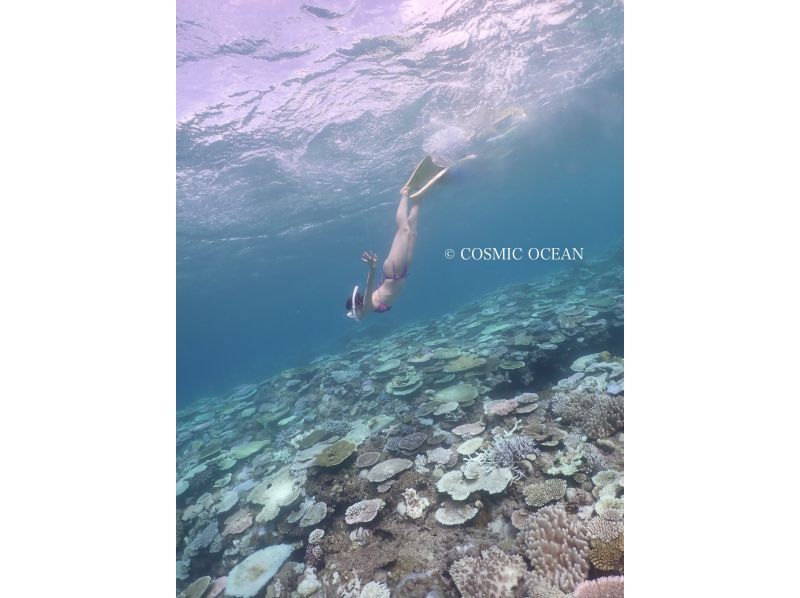 【沖縄本部町・瀬底島】目指せマーメイド！バナナボートで行くスキンダイビング☆12月限定シーズン割引実施中☆美ら海水族館の行き帰りにの紹介画像