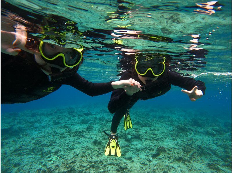 [Northern Okinawa] Half-day boat snorkeling in the area near the Churaumi Aquarium! Photo data provided! Relax on a spacious boat that can accommodate up to 30 people♪の紹介画像