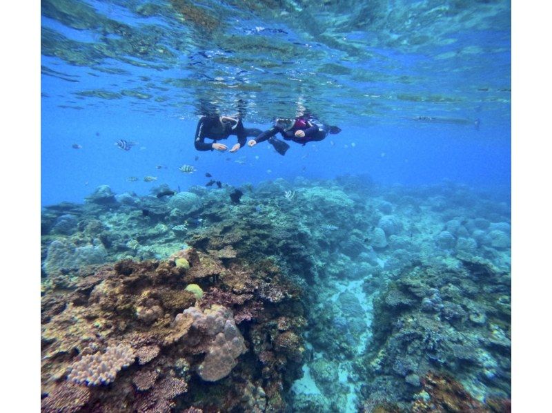 [Northern Okinawa] Half-day boat snorkeling in the area near the Churaumi Aquarium! Photo data provided! Relax on a spacious boat that can accommodate up to 30 people♪の紹介画像