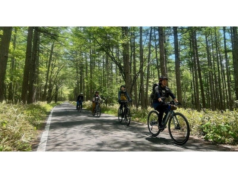 【栃木・日光】中禅寺湖畔　森林ライド1Day　〜初心者歓迎！Eバイクで巡る奥日光・湖と森のサイクリングツアー〜の紹介画像