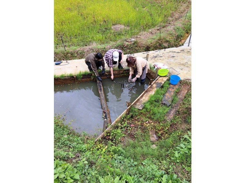 【이시카와·가나자와】 “경청의 마을” 낚시부 논 염색 체험과 사토야마를 걷다の紹介画像