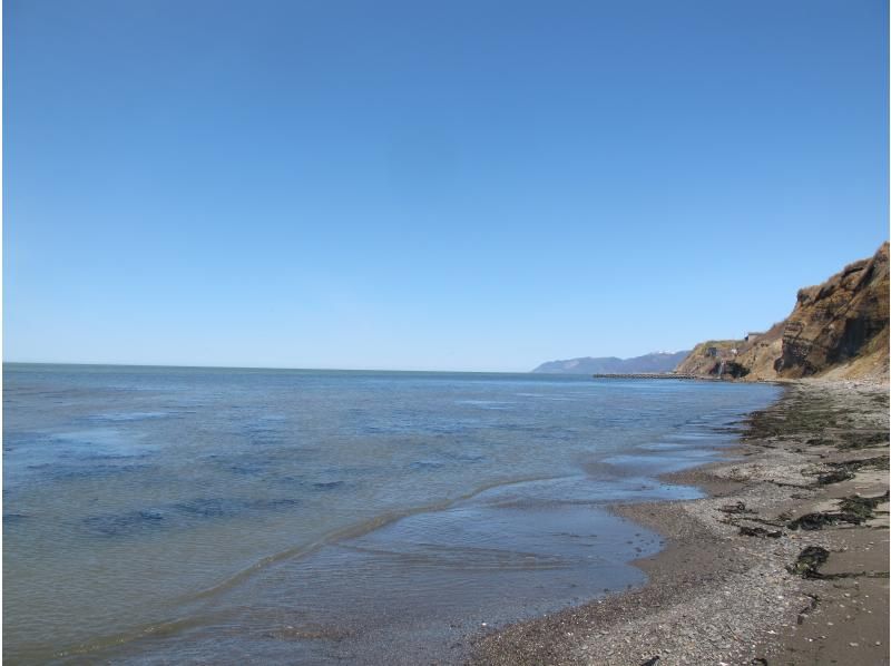 [北海道/石漾]歡迎初學者！海灘拾荒與藝術品體驗の紹介画像