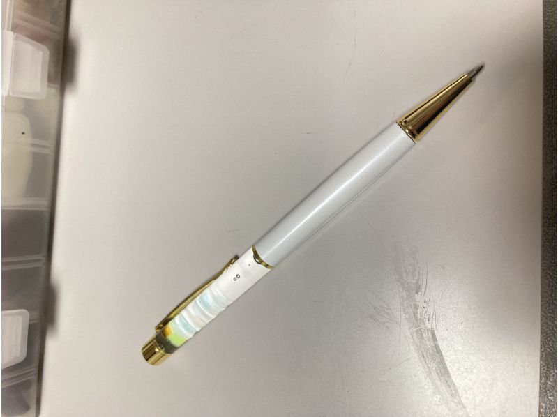 [北海道/石漾]歡迎初學者！海灘拾荒與藝術品體驗の紹介画像