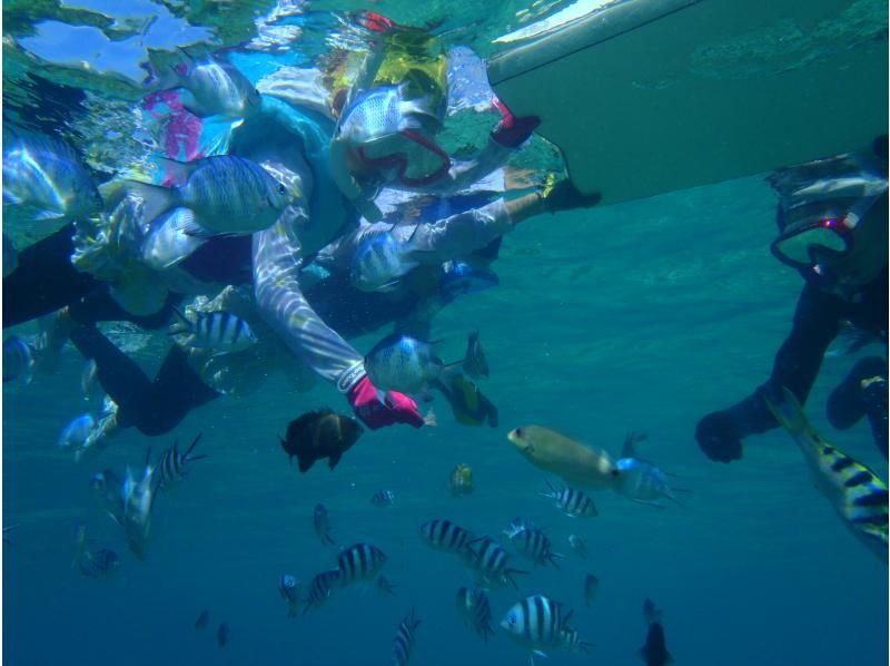 「sale」【沖縄・糸満】ウミガメに出会える　初心者向けシュノーケルツアー！ 大度浜海岸（ジョン万ビーチ）少人数制です。のコピーの紹介画像