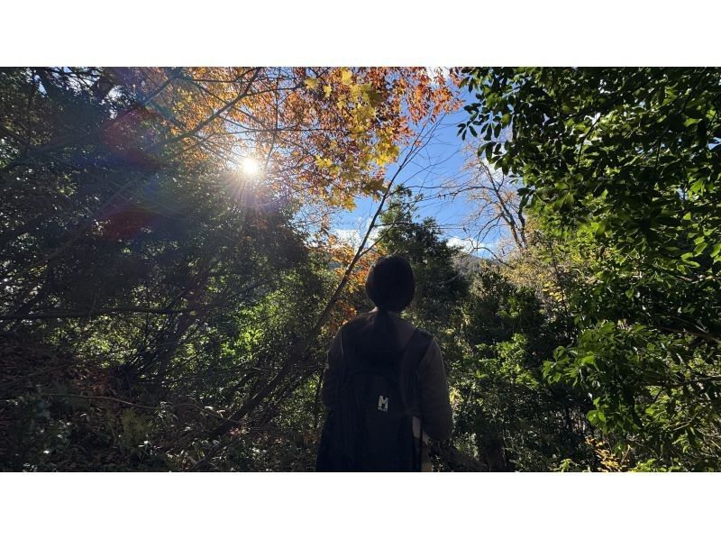 【鳥取・三朝】日本一危険な国宝「投入堂」を安全管理最優先の元消防士登山ガイドと参拝しようの紹介画像