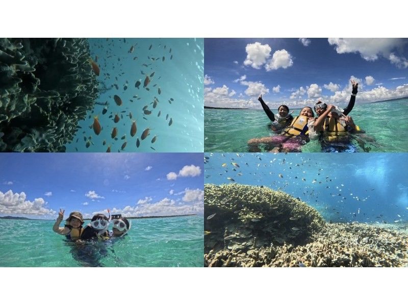 [Ishigaki Island • 1:00 PM • Boat] Phantom Island Drone Photography, Walking Tour & 1-Point Sea Turtle & Coral Snorkeling Tour (Drone & GoPro Photography Included)の紹介画像