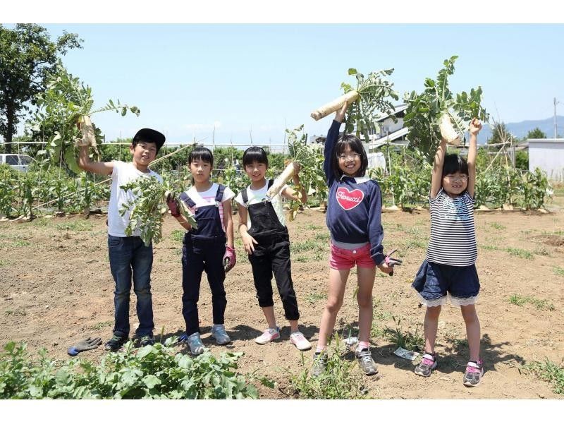 [山梨縣笛吹市]限時特別體驗！採摘、烹飪、食用美食教育體驗計劃の紹介画像