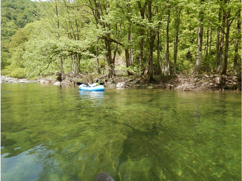 【東北・山形県】鶴岡市　期間限定・秘境・荒沢湖・清らかな湖の水没林を漕ぐパックラフト（カヌー・カヤック）ツアー・写真データ無料！の紹介画像