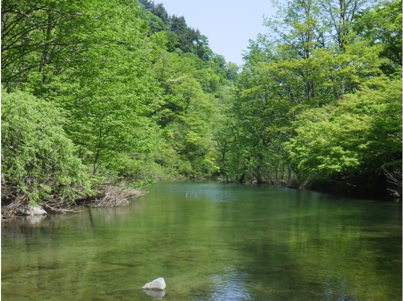 【東北・山形県】鶴岡市　期間限定・秘境・荒沢湖・清らかな湖の水没林を漕ぐパックラフト（カヌー・カヤック）ツアー・写真データ無料！の紹介画像