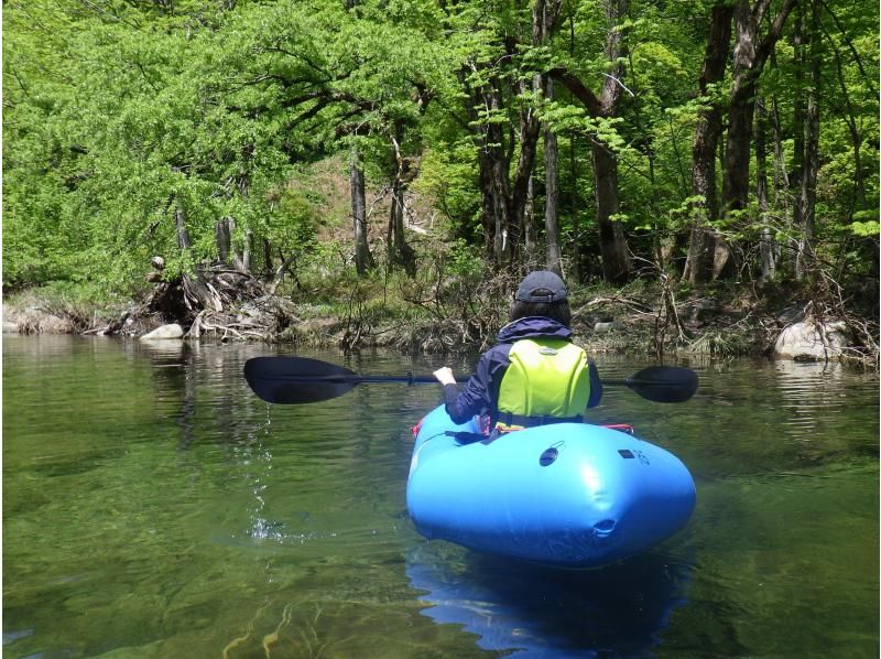 【東北・山形県】鶴岡市　期間限定・秘境・荒沢湖・清らかな湖の水没林を漕ぐパックラフト（カヌー・カヤック）ツアー・写真データ無料！の紹介画像
