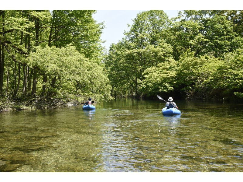 【東北・山形県】鶴岡市　期間限定・秘境・荒沢湖・清らかな湖の水没林を漕ぐパックラフト（カヌー・カヤック）ツアー・写真データ無料！の紹介画像