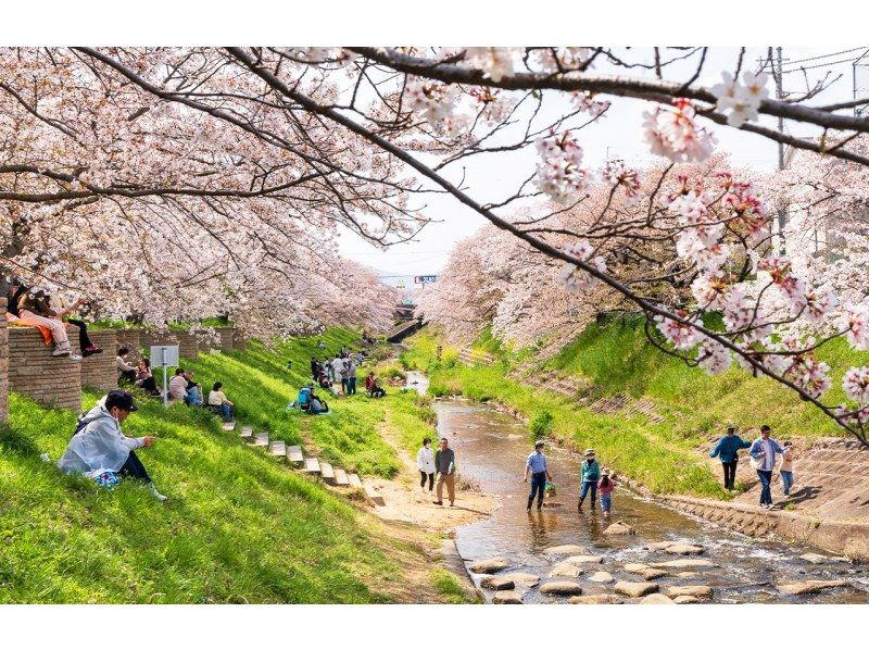 교토 기요미즈데라 | 후시미 이나리 신사 | 우지 평등원 | 겐지 모노가타리 박물관の紹介画像