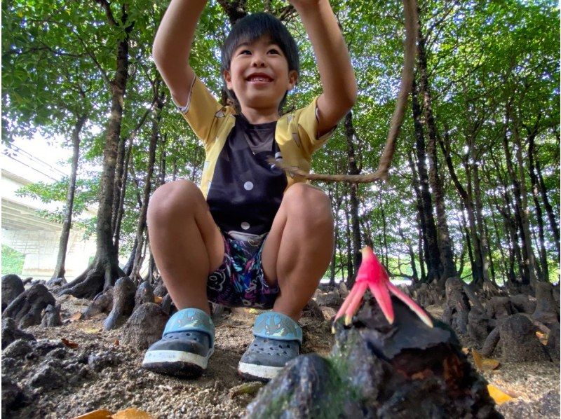 【石垣島/2時間】宮良川のマングローブで干潟散策！カヤックに乗らなくても遊べる不思議アドベンチャーツアー！の紹介画像