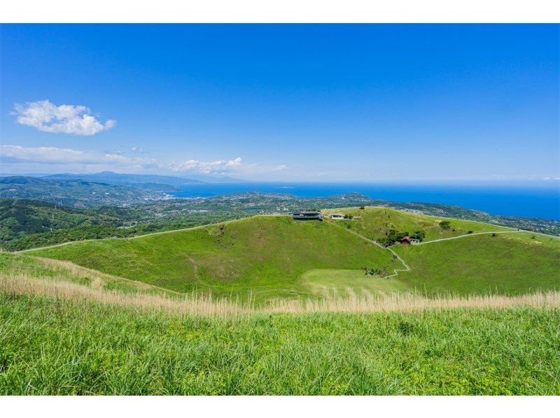 [จังหวัดชิซูโอกะ] ทัวร์หนึ่งวันถนน Atami Sunshine Coast & ชายฝั่ง Jogasaki & Izu Omuroyama | ออกเดินทางจากโตเกียวの紹介画像