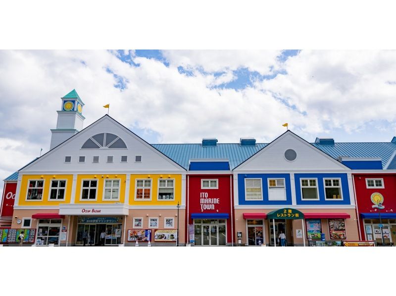 [จังหวัดชิซูโอกะ] ทัวร์หนึ่งวันถนน Atami Sunshine Coast & ชายฝั่ง Jogasaki & Izu Omuroyama | ออกเดินทางจากโตเกียวの紹介画像
