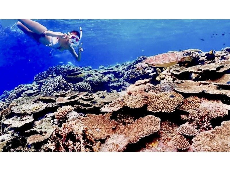宮古島【 ユニの浜&三角点下シュノーケルツアー 】ボートで巡る幻の島&絶景珊瑚礁地帯⭐︎ ドローン撮影、水中撮影無料の紹介画像
