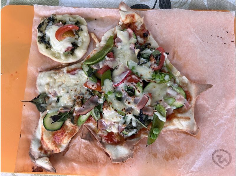 Harvesting seasonal vegetables in Furano and cooking handmade pizza in the open air!の紹介画像