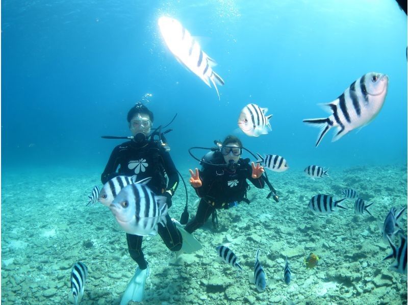 【沖縄・本島 瀬底島・水納島】体験ダイビング ウミガメに高確率で出会える!? 3時間の贅沢トリップ♪の紹介画像