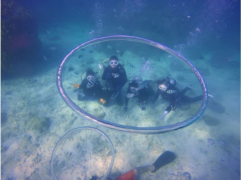 【沖縄・本島 瀬底島・水納島】体験ダイビング ウミガメに高確率で出会える!? 3時間の贅沢トリップ♪の紹介画像