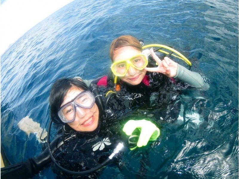 【沖縄・本島 瀬底島・水納島】体験ダイビング ウミガメに高確率で出会える!? 3時間の贅沢トリップ♪の紹介画像