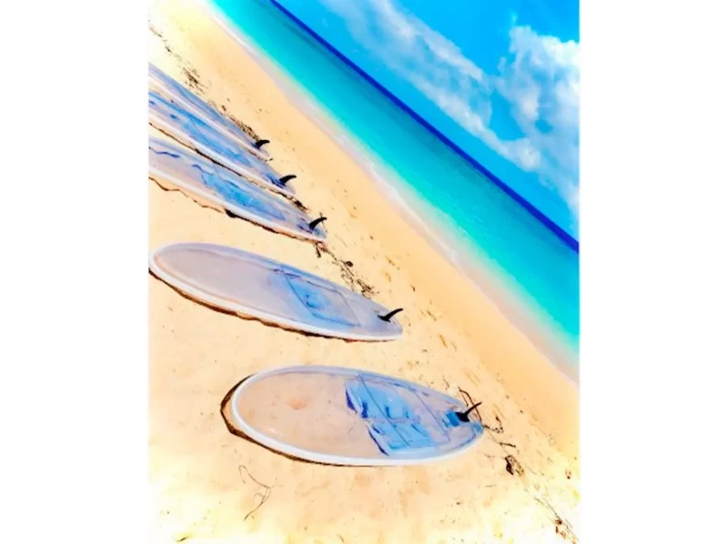 對於海外的人來說！ Clearsap [90分鐘] 靠近Junglia，美麗海水族館和古宇利島！可使用無人機拍攝！穩定性極佳，推薦有小孩的家庭使用の紹介画像