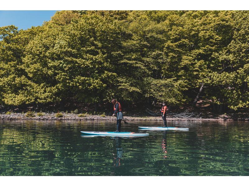 【北海道・洞爺湖】息を飲む絶景の中でゆったりサップ体験・写真は無料プレゼント付♪・初心者大歓迎の紹介画像