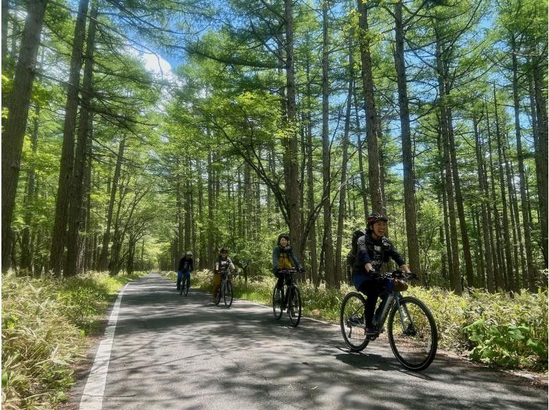 [Limited Tour] Oku-Nikko Primrose Cycling -Let's go see the Primroses on an E-Bike (Electric Assist Bicycle)-の紹介画像