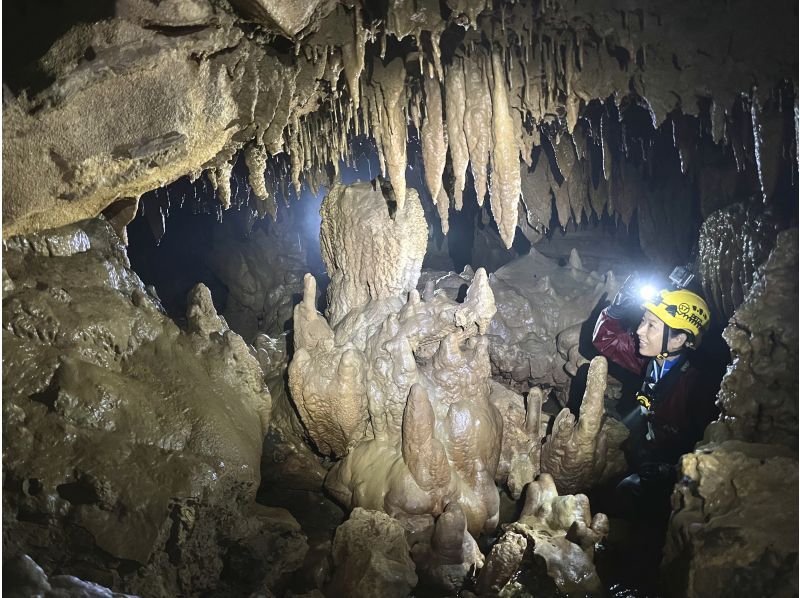 [Fukuoka/Kitakyushu] Hiraodai Cave Exploration (caving) Mysterious underground lake tourの紹介画像