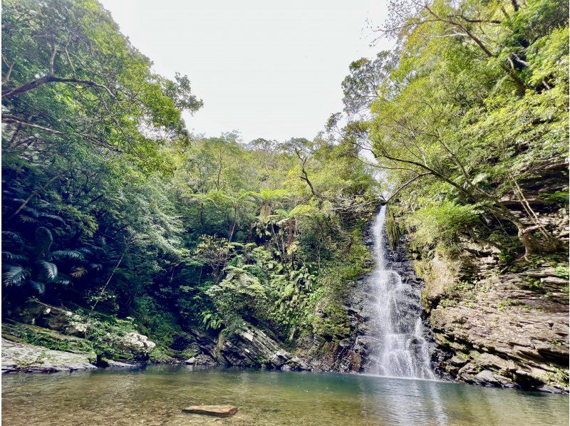 【沖繩・名護】在山原通常禁止進入的地方徒步旅行，隱藏的瀑布桑拿！在私密空間享受刺激的體驗！の紹介画像