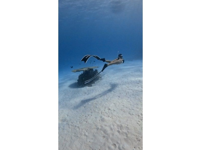 【沖縄・伊平屋島】２ボートスキンダイビング１日満喫ツアー☆少人数制で初心者・おひとり様大歓迎☆水中写真プレゼント付の紹介画像