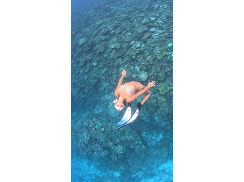 【沖縄・伊平屋島/1日】クルーズボート・スキンダイビング（6時間☆満喫プラン）☆少人数制・おひとり様OK☆《送迎無料》水中動画データ無料！の紹介画像