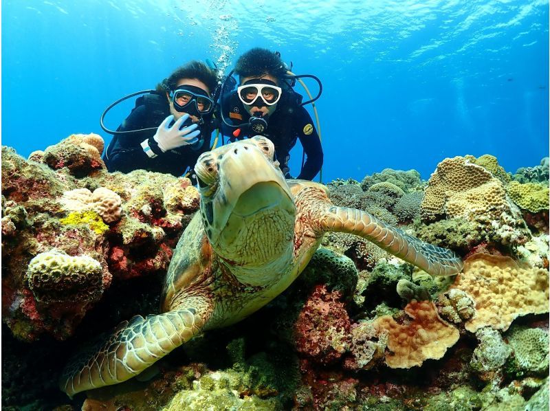 【那覇発／慶良間諸島】体験ダイビング2本＆シュノーケル☆インストラクター貸切で世界に誇る海で遊び尽くそう！3大無料特典付き☆の紹介画像