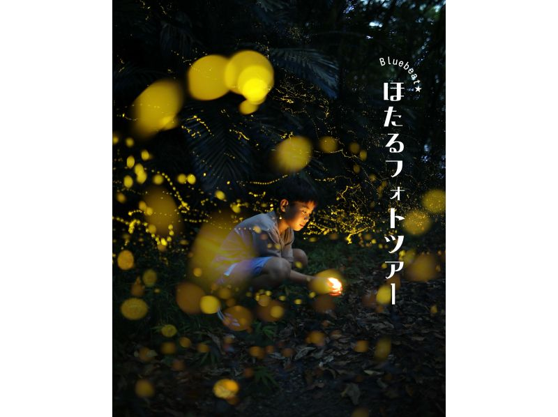 春割！【沖縄・石垣島】１日１組様限定・ほたるフォトツアーの紹介画像