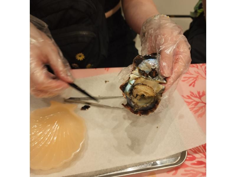 [Okinawa, Miyakojima] A first for Miyakojima! Experience extracting real pearls from Akoya oysters. Come empty-handed!の紹介画像