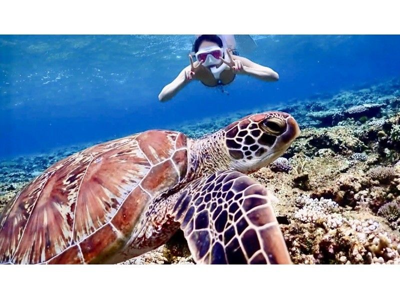 [Okinawa Miyakojima] Snorkeling tour at Yuni Beach (the phantom island) & off the coast of the triangulation point (a spectacular coral reef group) ☆ Drone photography and underwater photography included ☆ Restrooms and air conditioning are fully equipped for your peace of mind!の紹介画像