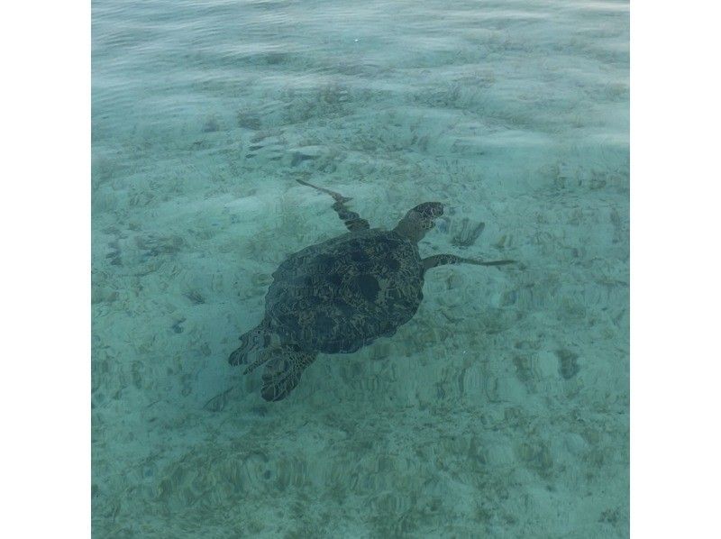 [Okinawa Kumejima] Hatenohama Landing & Marine Sports Setの紹介画像
