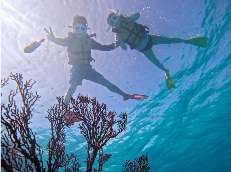 【人気NO.１】１日ツアー｜八重山が誇る綺麗な海へ！｜鳩間島・西表方面or新城島・西表方面八重山遠征｜ドローン・Gopro撮影無料の紹介画像