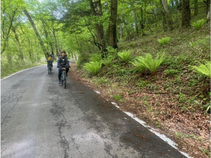 [Tochigi, Nikko] Cycling and hiking on Mount Hangetsu ~ Panoramic view of Lake Chuzenji! Enjoy a spectacular tour of Mount Hangetsu on an e-bike and hike ~の紹介画像