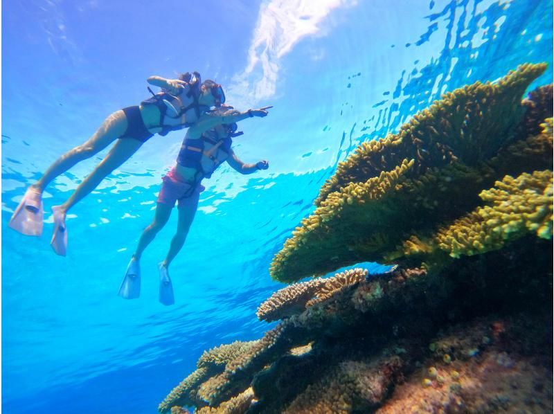 北部発・水納島半日シュノーケリング★2エントリーなので海中時間たっぷり★船酔いが心配な方に・揺れに強い大型カタマラン船★写真＆ドリンク無料★の紹介画像