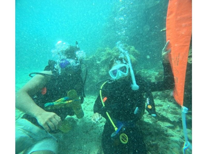 [Okinawa, Ishigaki Island] Get your PADI Open Water Diver license in the sea of Japan's largest coral reef in as little as 2 days!の紹介画像