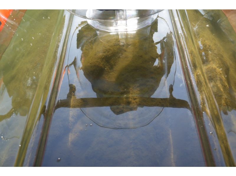 [Yamanashi Prefecture, Lake Kawaguchi] Early morning plan Clear kayak experienceの紹介画像