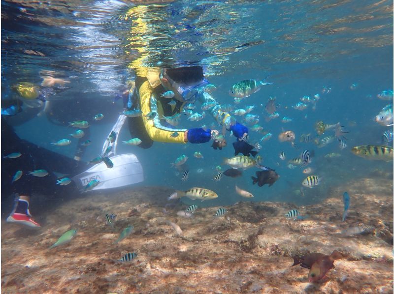 《シュノーケリングセットレンタル》空港から車で10分｜サイズ豊富｜洗い不要の紹介画像