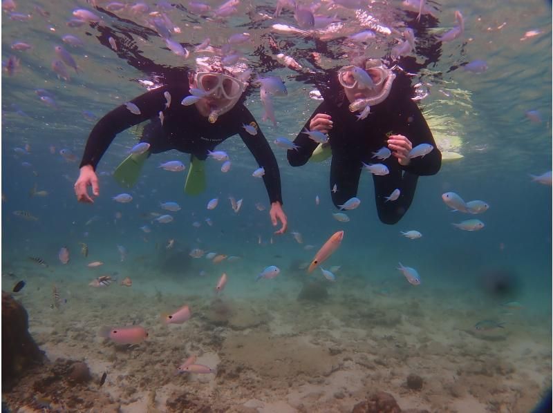 《シュノーケリングセットレンタル》空港から車で10分｜サイズ豊富｜洗い不要の紹介画像