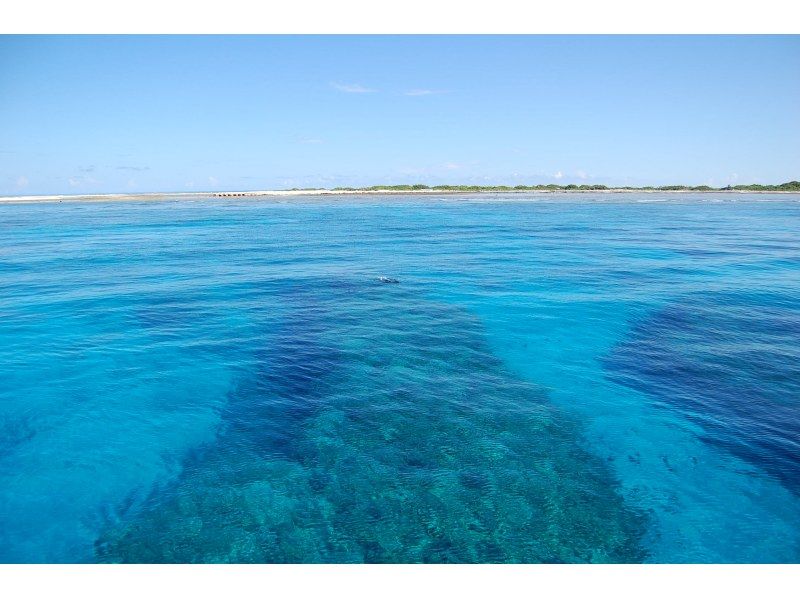 《シュノーケリングセットレンタル》空港から車で10分｜サイズ豊富｜洗い不要の紹介画像
