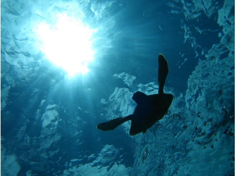 《シュノーケリングセットレンタル》空港から車で10分｜サイズ豊富｜洗い不要の紹介画像