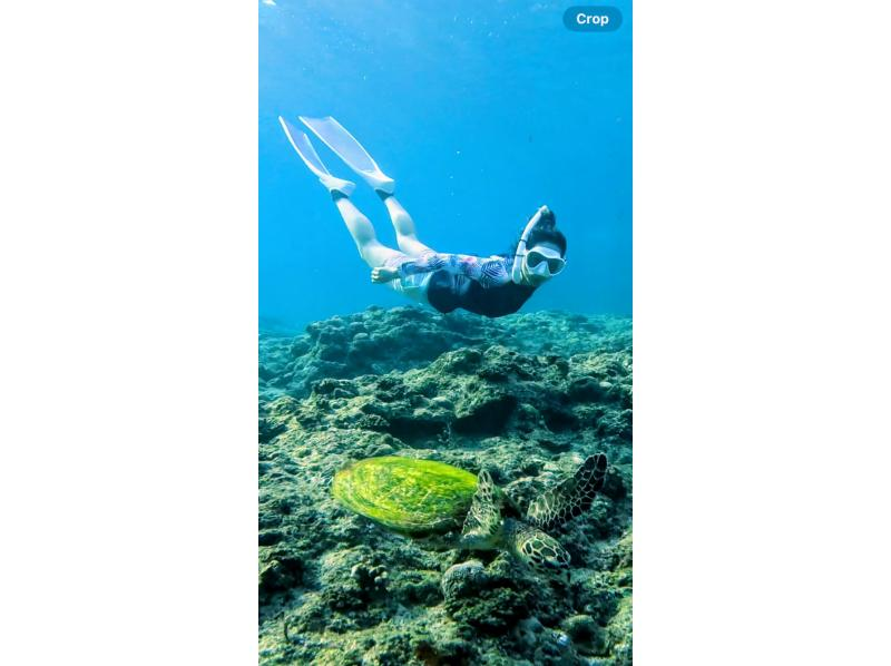 スキンダイビング【沖縄本島・青の洞窟等】♡初心者・お一人様・グループ！（日本語・Englishガイド）の紹介画像