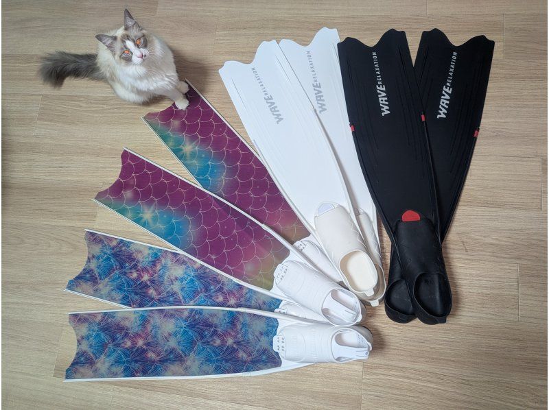 スキンダイビング【沖縄本島・青の洞窟/なかゆくい/ゴリラチョップ】貸切♡初心者・お一人様・グループ！（日本語・Englishガイド）